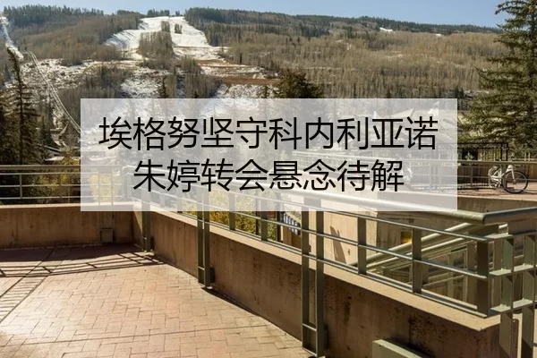 埃格努坚守科内利亚诺 朱婷转会悬念待解